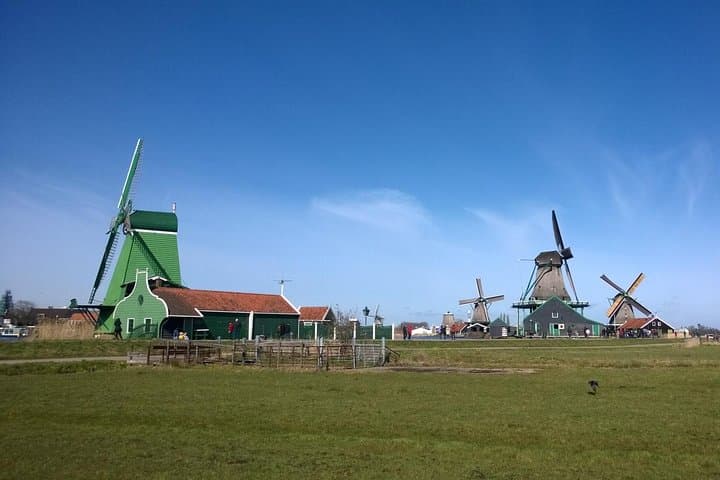 Excursão privada aos moinhos de vento de Zaanse Schans saindo do aeroporto de Amsterdã