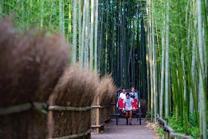 Excursão a Riquixás Arashiyama em Quioto com Floresta de Bambu