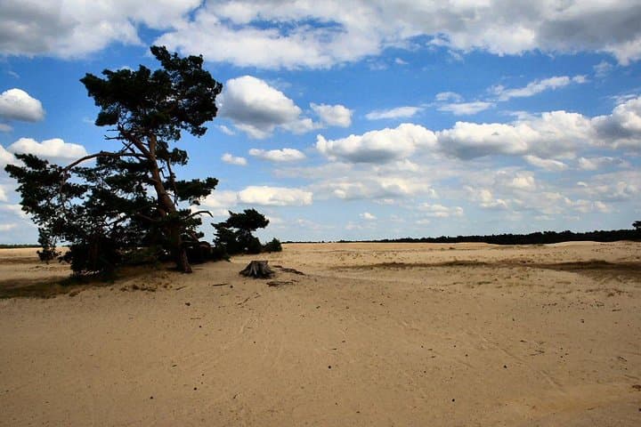 Excursão privada de um dia ao Museu Kröller-Müller e ao Parque Nacional saindo de Amsterdã