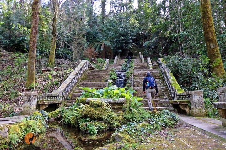 Uma aventura pela Mata e Palácio do Bussaco - Coimbra