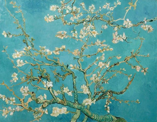 Bilhete Combinado: Bilhete do Museu Van Gogh e 1 hora de cruzeiro pelo Canal