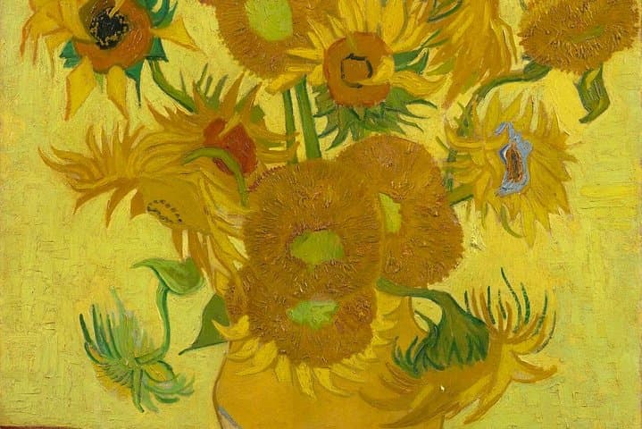 Amsterdam : Entrada do Museu Van Gogh e cruzeiro de 75 minutos pelo Canal da Cidade