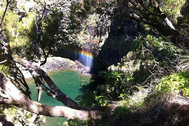 Madeira lakes Levada