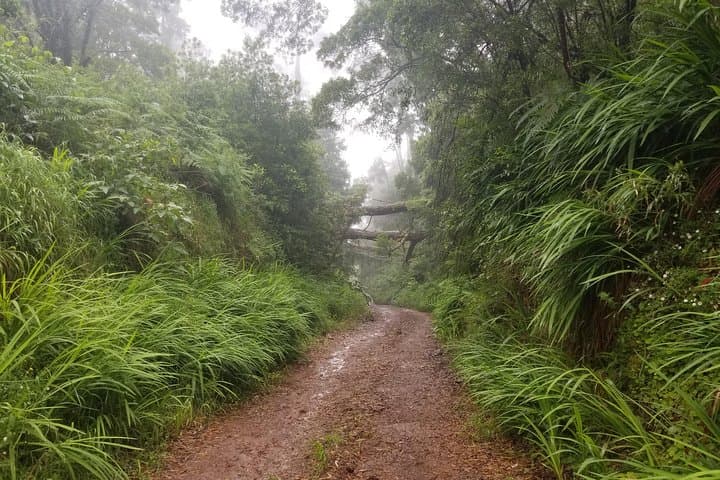 Passeios Off-Road na Madeira