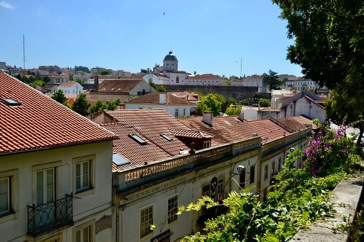 Coimbra: Catedrais, Reis e Calla Lilies