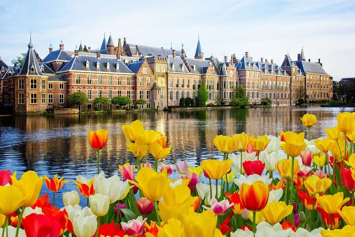 Excursão privada a Roterdã, Haia e Delft saindo de Amsterdã de carro