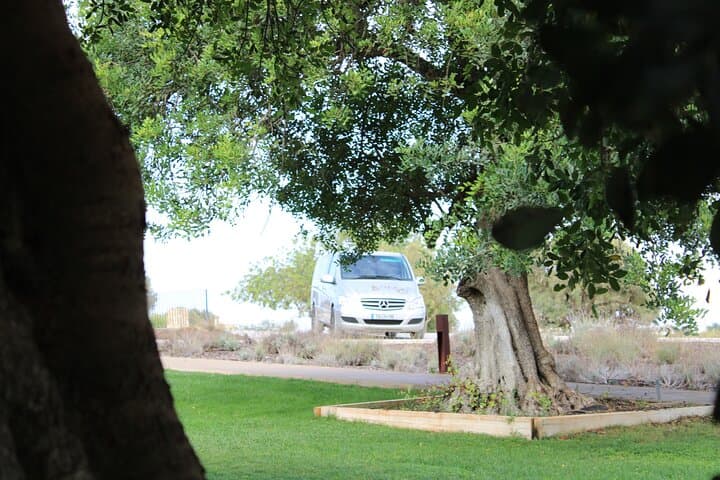 Tour Privada Algarve