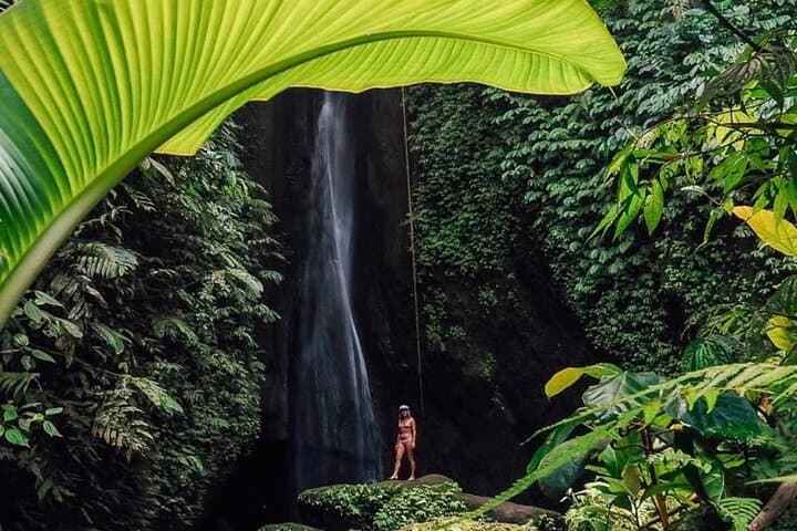 Bali: viagem privada de um dia ao norte de Bali com traslado