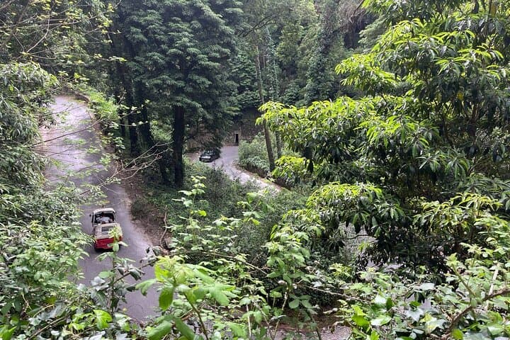 Caminhada panorâmica em Sintra