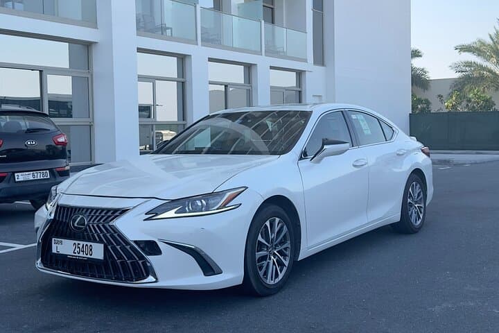 Traslado privado de chegada do aeroporto de Dubai para Dubai