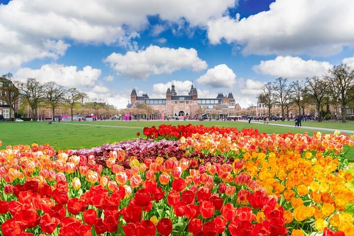 Excursão privada ao Van Gogh & Rijksmuseum