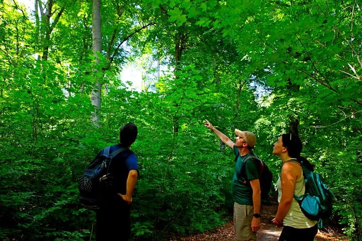 Caminhadas em Budapeste