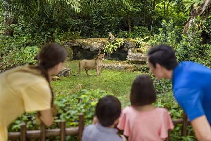 Bilhete para o Zoológico de Singapura com Tram Mandai Wildlife Reserve, Singapura