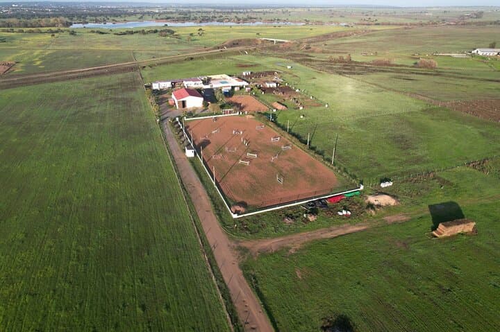Passeios a Cavalo em Évora