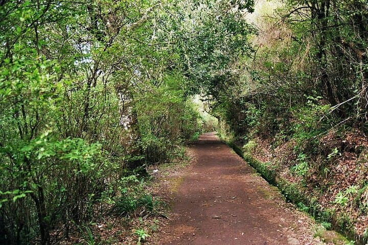 Madeira Levada Vale do Paraíso