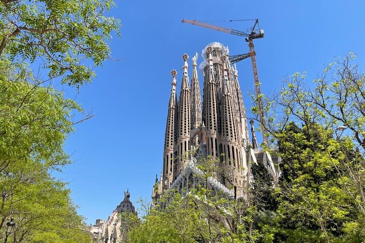 Sagrada Familia Skip-the-Line Tour & acesso às torres opcionais