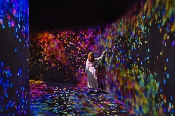 Tour privado pela cidade de Abu Dhabi com o TeamLab Phenomena Abu Dhabi
