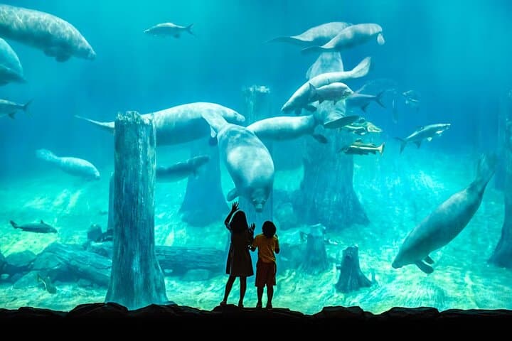 River Wonders Pass em Singapura
