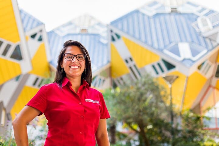 Roterdão, Delft e Haia Excursão de um dia de Amsterdã