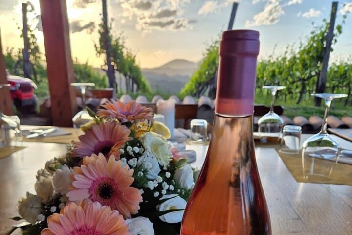 Degustação de vinhas e viagem de um dia de aperitivo de Roma