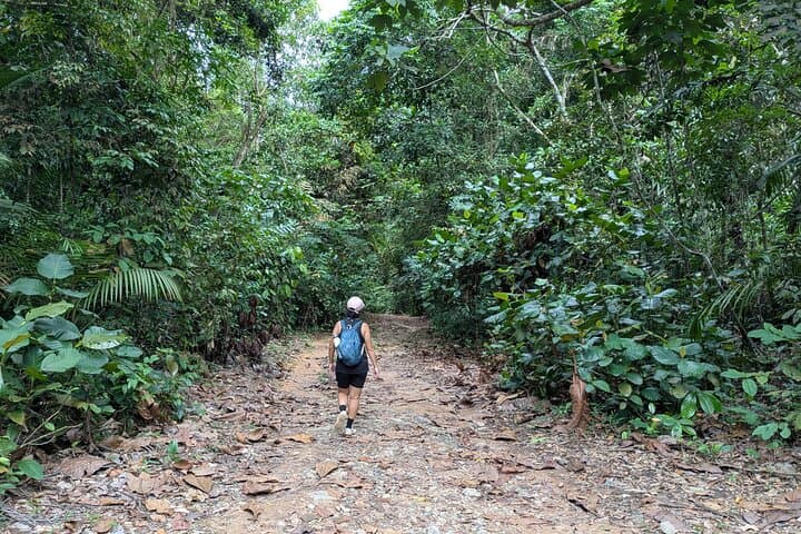 Caminhada pela selva e património em Singapura