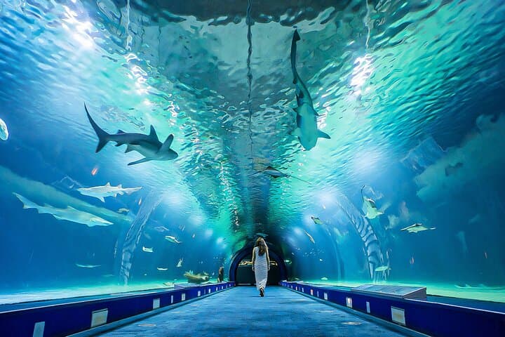 Bilhete de Entrada para o Oceanário de Lisboa