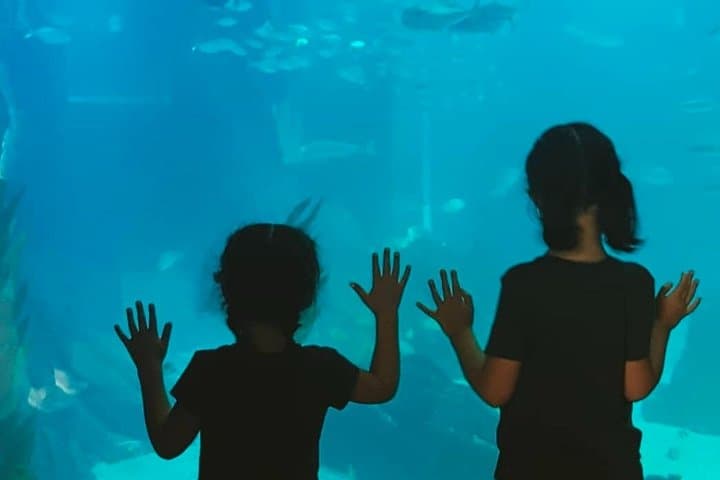 Família em Lisboa Oceanário e Museu da Ciência e Teleférico