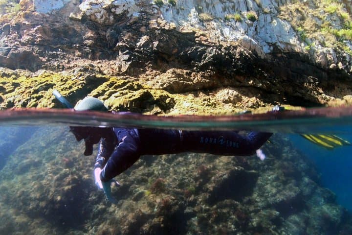 Saída de Snorkeling Dupla no Faial, Açores