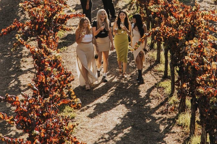 Wine Country Shuttle de São Francisco