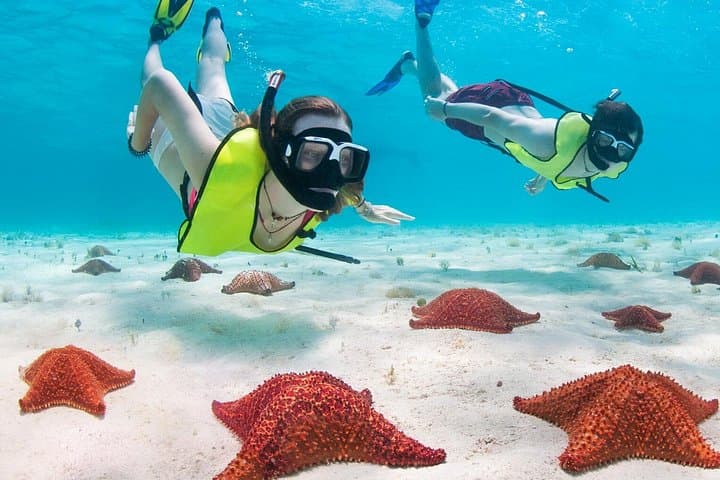Manta Ray de Grand Cayman, City Starfish Point e Crystal Caves
