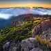 Madeira Top Sunrise