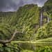 Tour Completo pela Ilha das Flores nos Açores